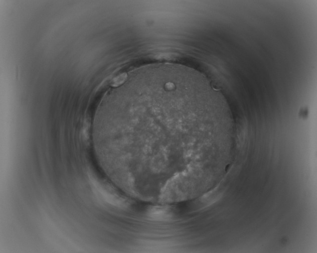 X0000112910175200909071543