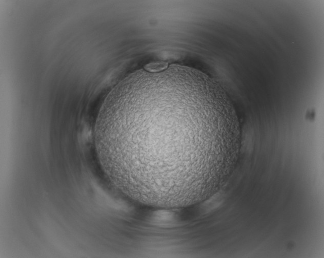 X0000112910176200909071543