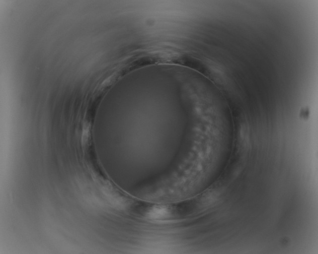 X0000112910177200909071543