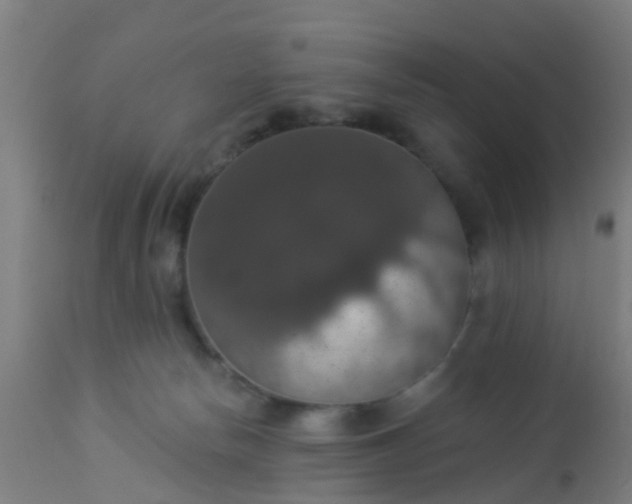 X0000112910178200909071543