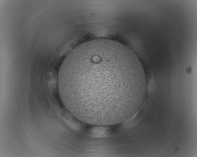 X0000112910179200909071543