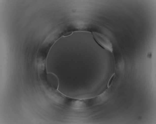 X0000112910180200909071543