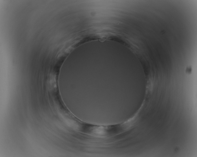 X0000112910182200909071543