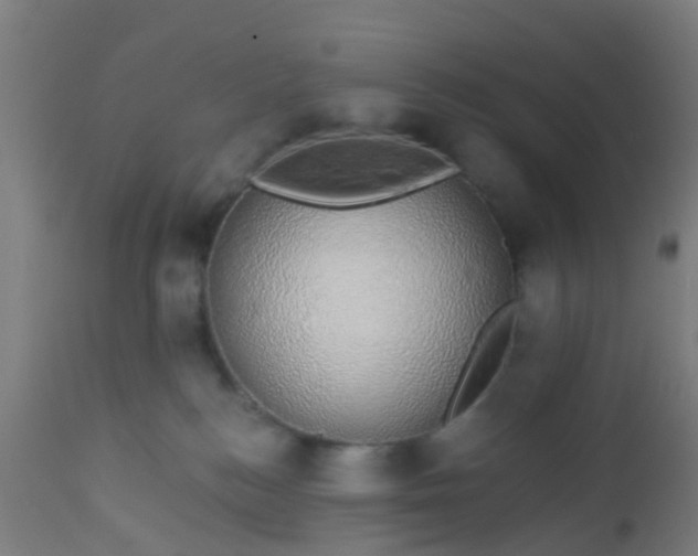 X0000112910184200909071543