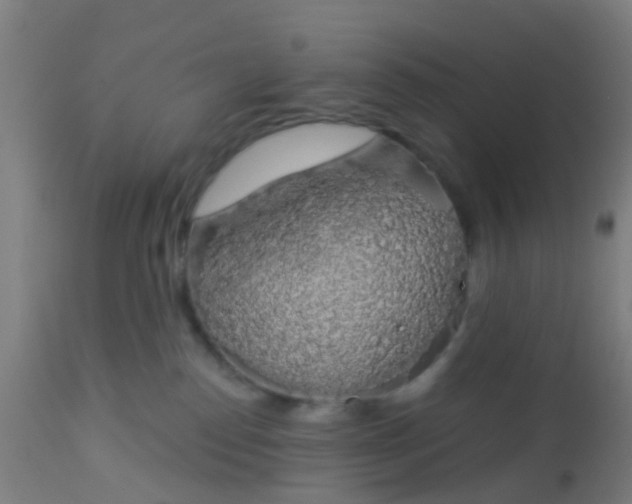 X0000112910186200909071543