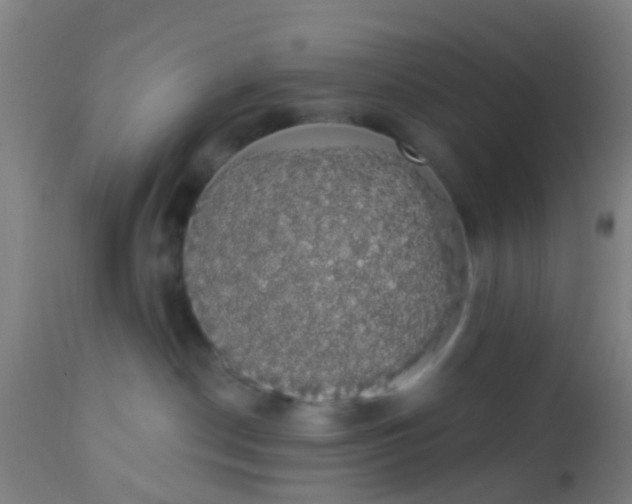 X0000112910190200909071544