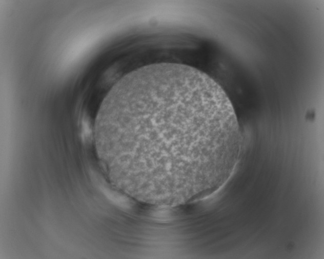 X0000112910191200909071544