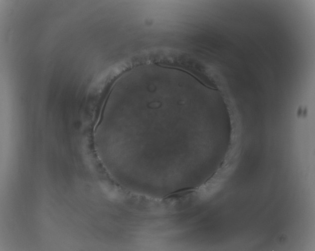 X0000112910192200909071544