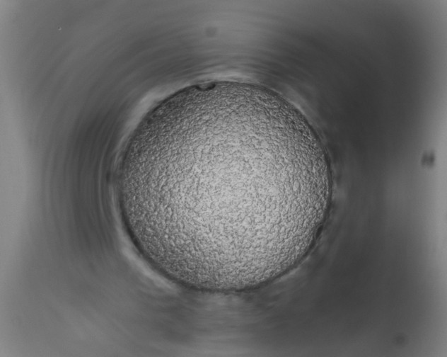 X0000112910193200909071543