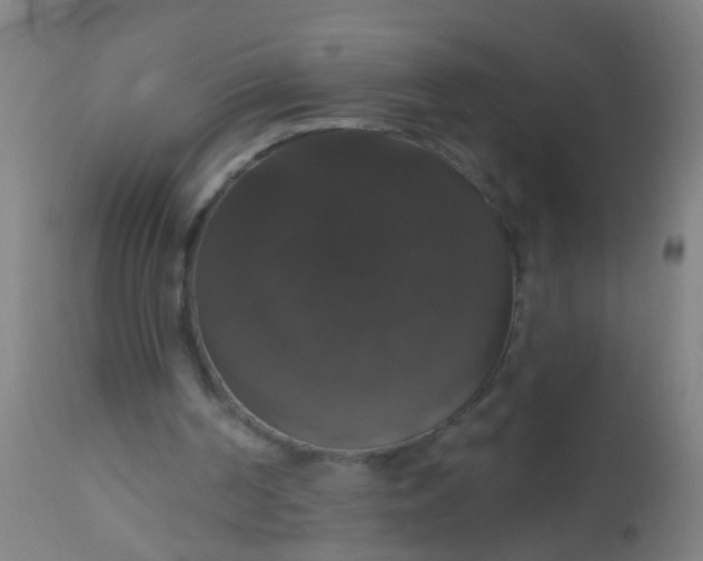 X0000112910194200909071543