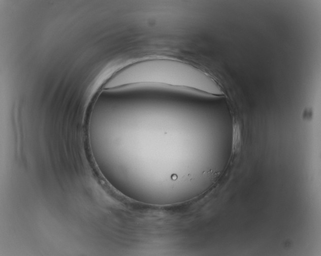 X0000112910195200909071543