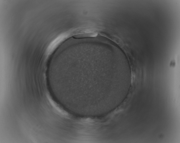 X0000112910197200909071543