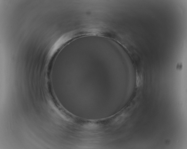 X0000112910198200909071543