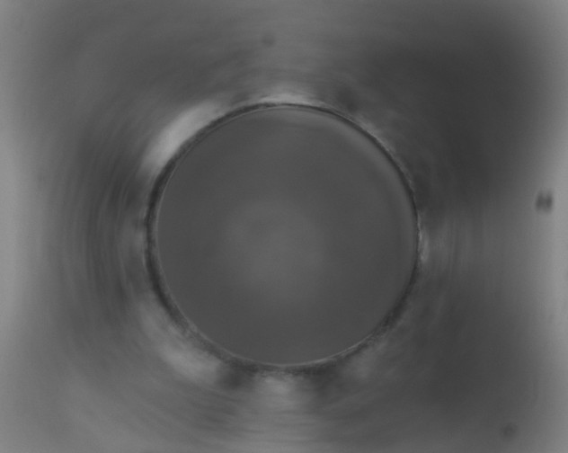 X0000112910199200909071543