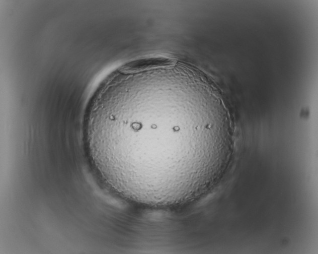 X0000112910200200909071543