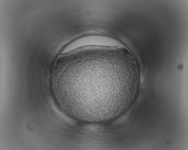 X0000112910201200909071543