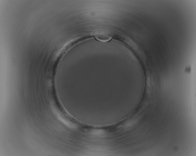 X0000112910203200909071543