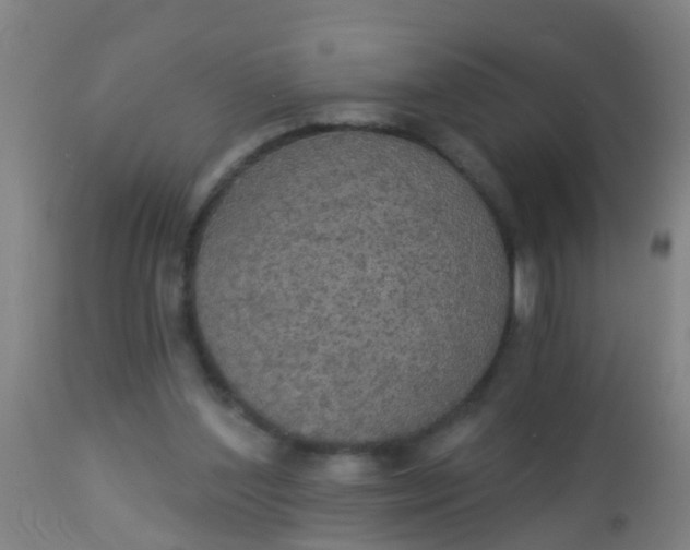 X0000112910204200909071543