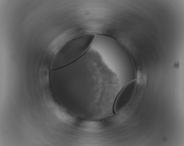 X0000112910205200909071543