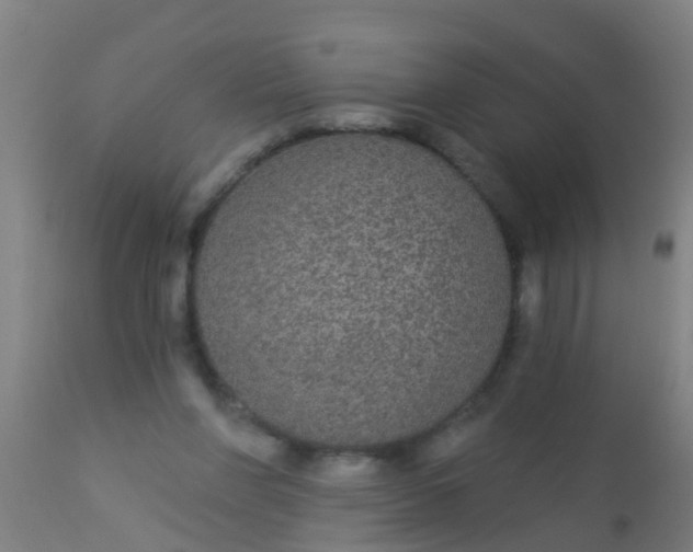 X0000112910206200909071543