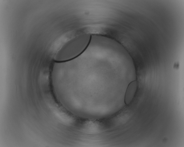 X0000112910207200909071543