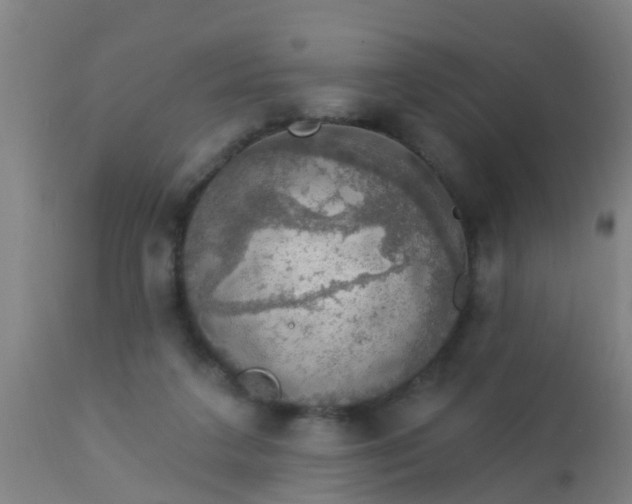 X0000112910211200909071543