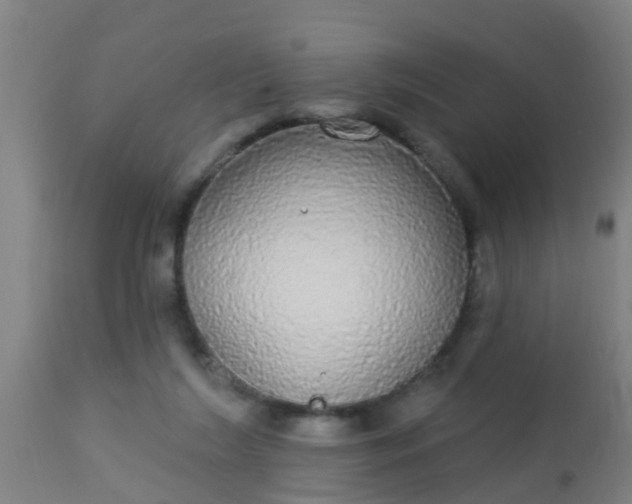 X0000112910212200909071543