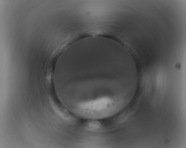 X0000112910214200909071543