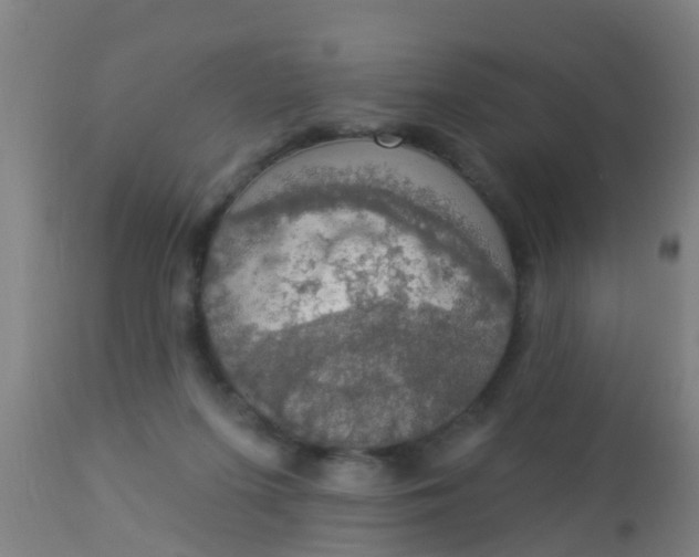 X0000112910215200909071543