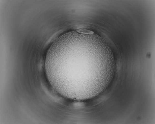 X0000112910216200909071543