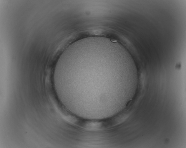 X0000112910217200909071543