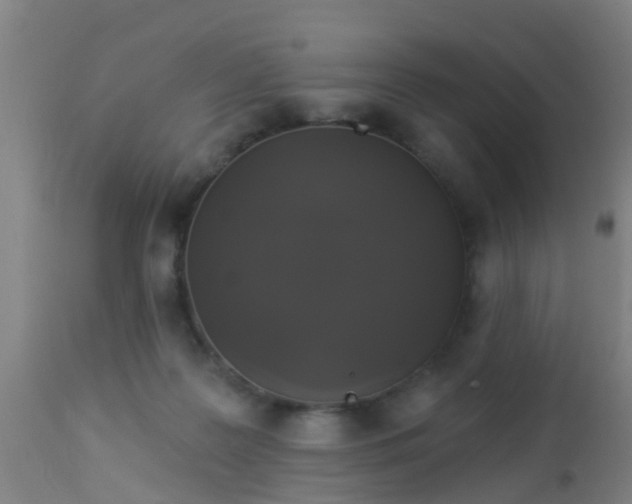 X0000112910219200909071543