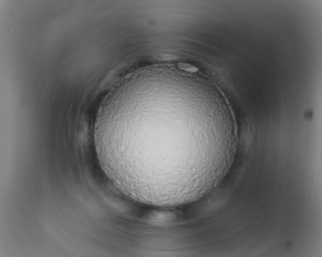 X0000112910220200909071543