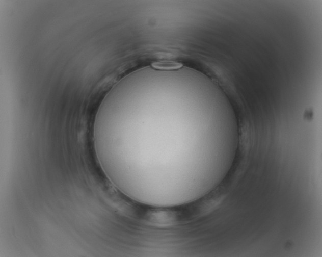 X0000112910221200909071542