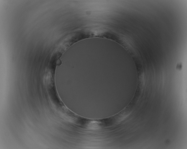 X0000112910222200909071542