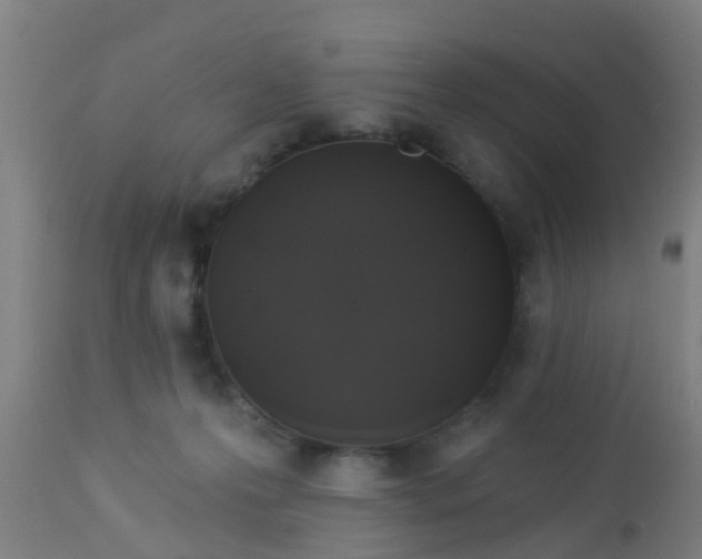 X0000112910223200909071542