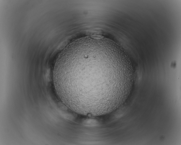 X0000112910224200909071542