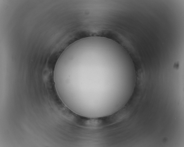 X0000112910225200909071542