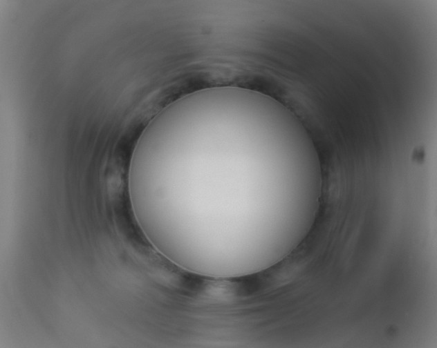 X0000112910226200909071542