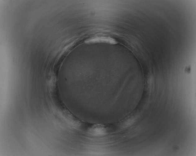 X0000112910228200909071542