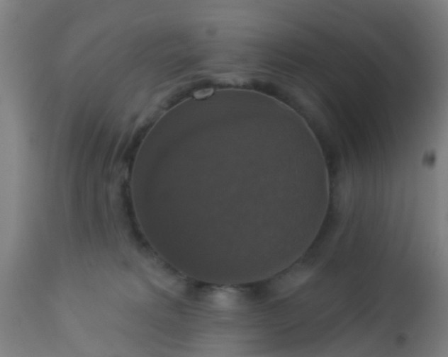 X0000112910229200909071542