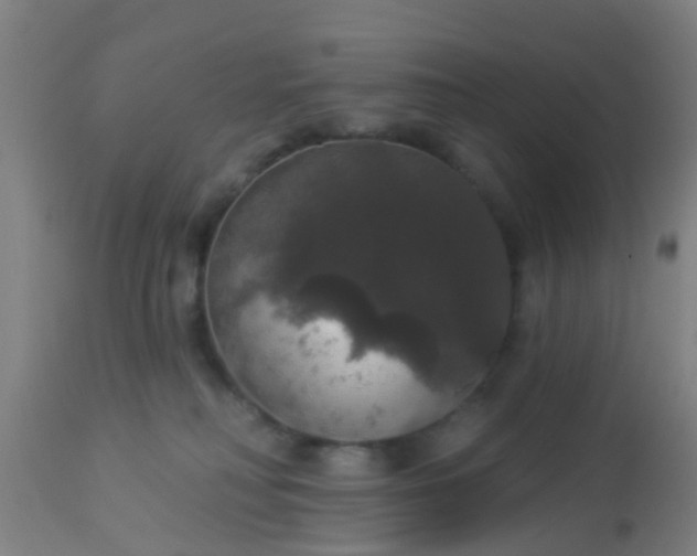 X0000112910230200909071542