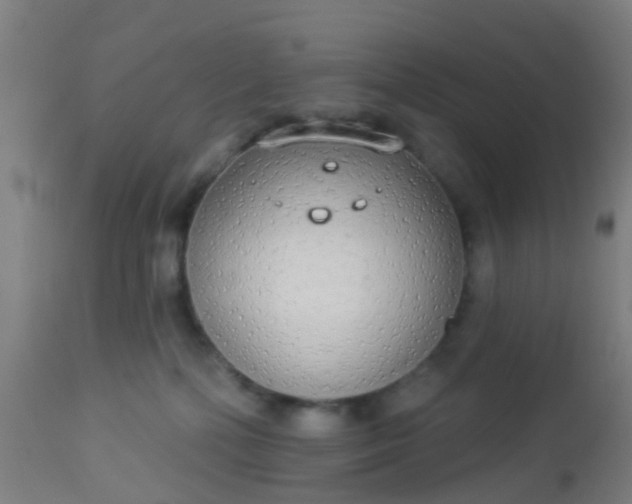 X0000112910232200909071542