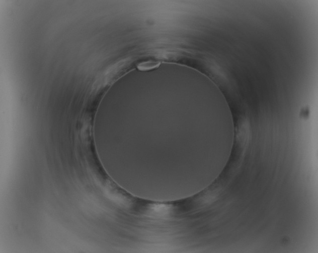 X0000112910233200909071542