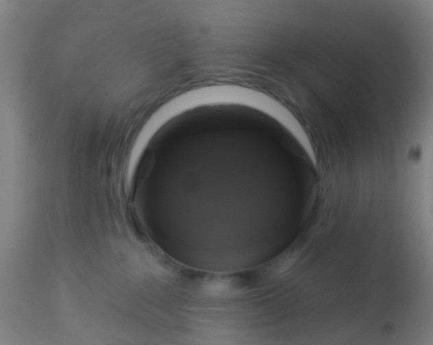 X0000112910235200909071542