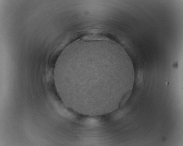 X0000112910236200909071542