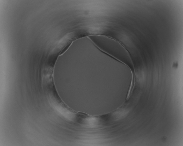 X0000112910237200909071542