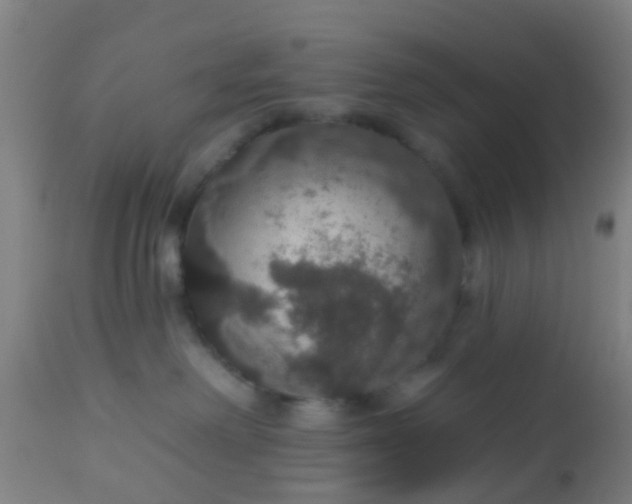 X0000112910238200909071542