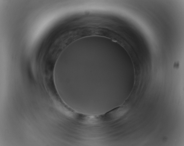 X0000112910239200909071542