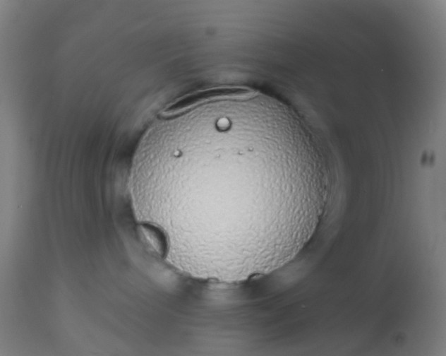 X0000112910240200909071542